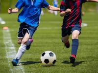 掘金VS森林狼直播