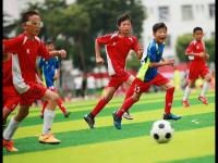 乐阿弗尔VS梅斯直播数据库 ＞ 勒阿弗尔 vs 阿雅克肖GFCO